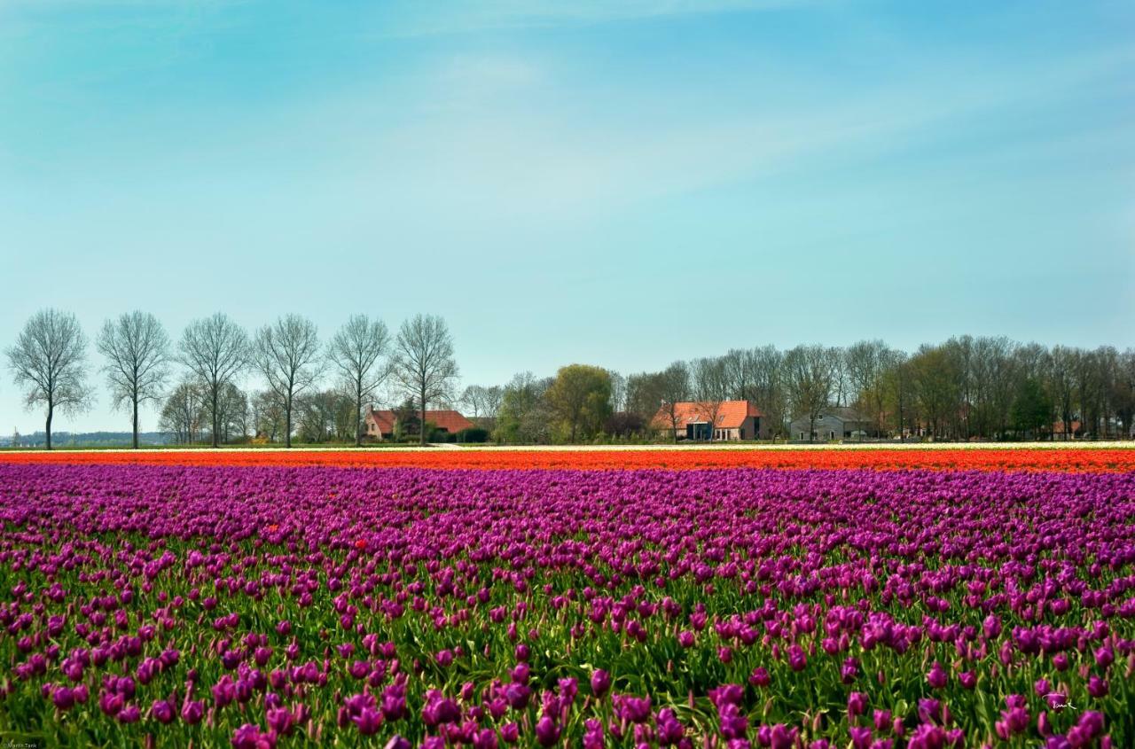 B&B De Strandhoeve Гитхорн Экстерьер фото